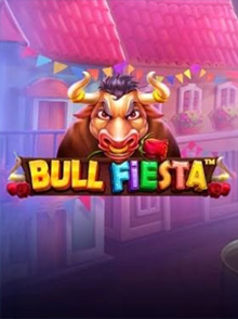 Bull Fiesta